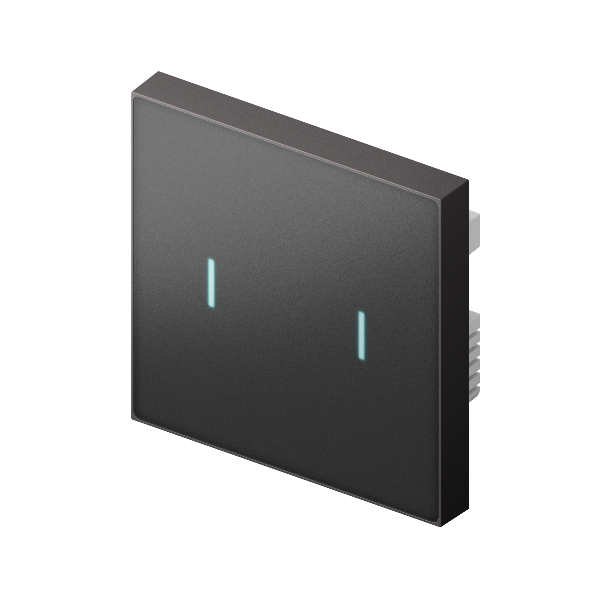 Nature Switch (MATTE) (Black AG Glass - Gray 2 way) — LifeSmart